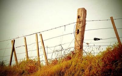 Pameran Karya Seni Siswa: Menampilkan Bakat dan Kreativitas Tanpa Batas